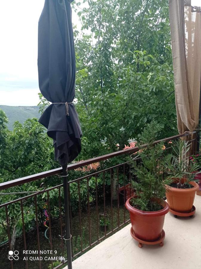 Άγρια Λούλουδα Κατοικία Αρμονία Timfristos Dış mekan fotoğraf