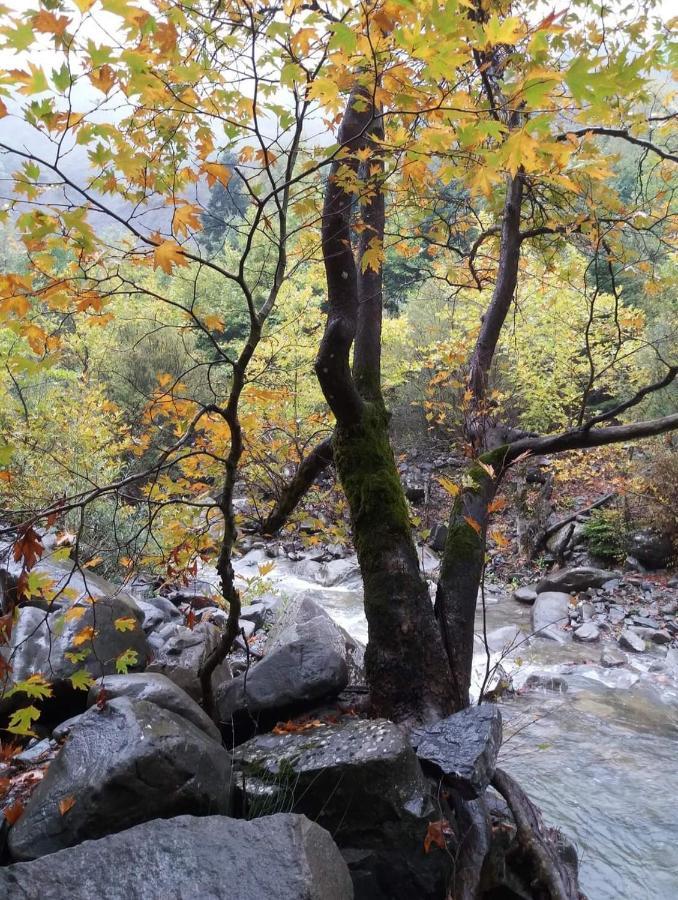 Άγρια Λούλουδα Κατοικία Αρμονία Timfristos Dış mekan fotoğraf