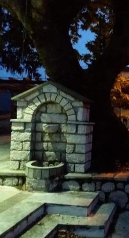 Άγρια Λούλουδα Κατοικία Αρμονία Timfristos Dış mekan fotoğraf