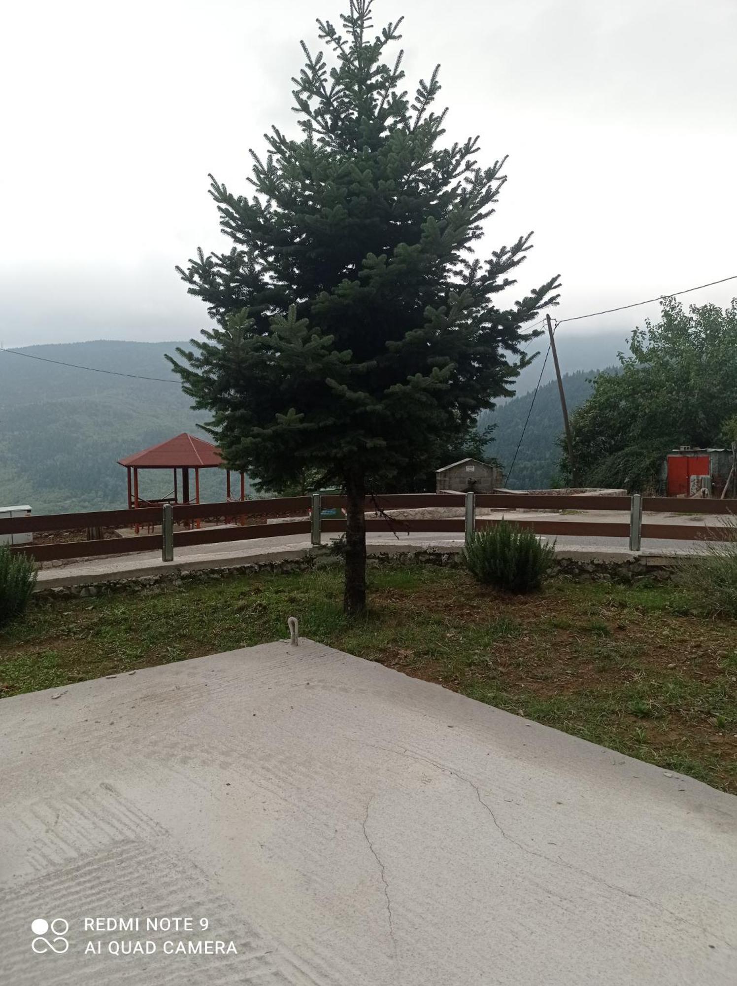 Άγρια Λούλουδα Κατοικία Αρμονία Timfristos Dış mekan fotoğraf