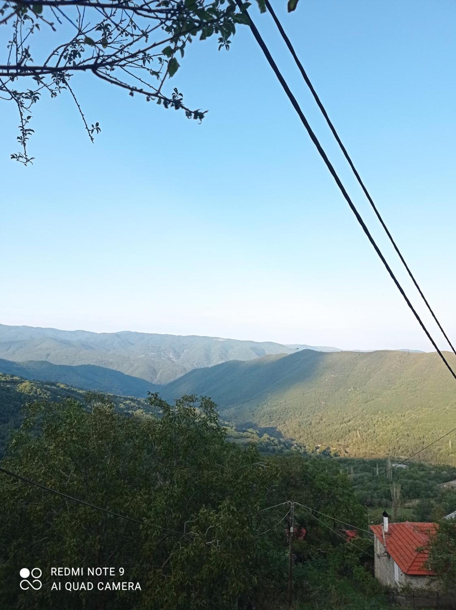 Άγρια Λούλουδα Κατοικία Αρμονία Timfristos Dış mekan fotoğraf