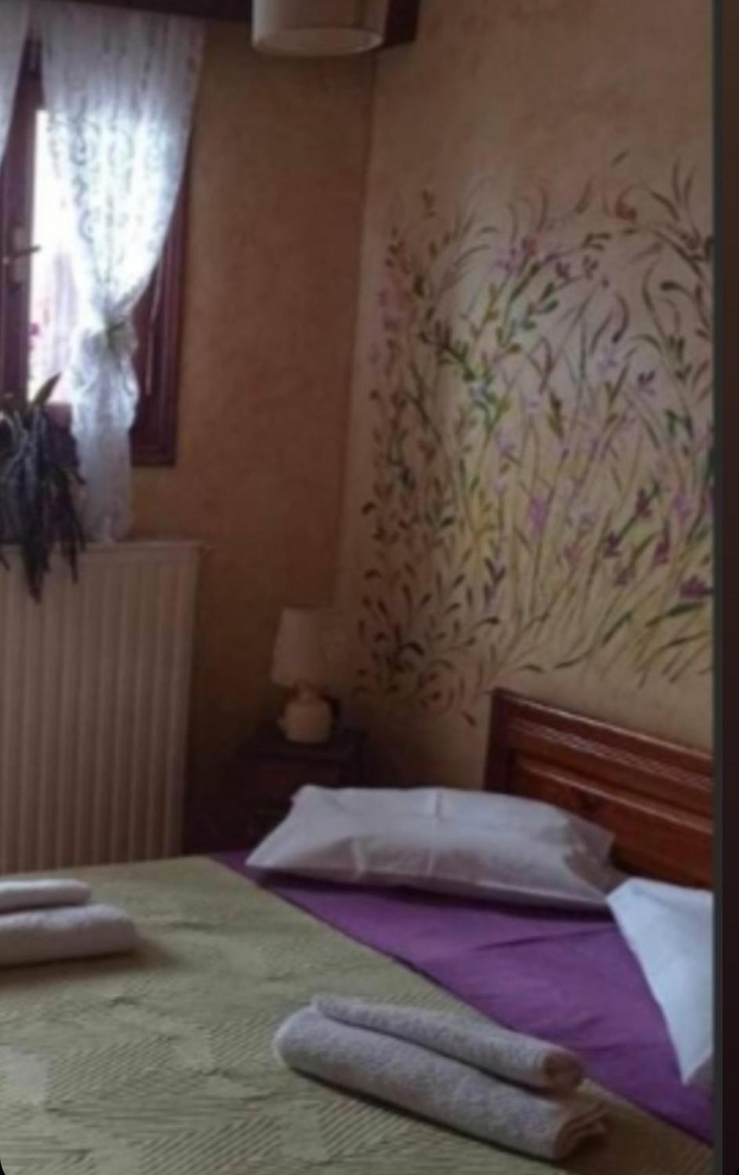 Άγρια Λούλουδα Κατοικία Αρμονία Timfristos Dış mekan fotoğraf